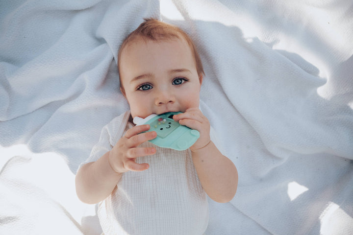 Itzy Ritzy - *NEW OPTION* Sweetie Shake Plus™ - Teething + Rattle Toy