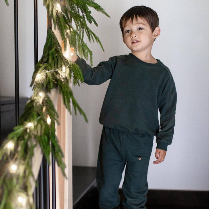 Burt's Bees Baby - Acid Wash Sweatshirt & Pants Set - Zucchini Green