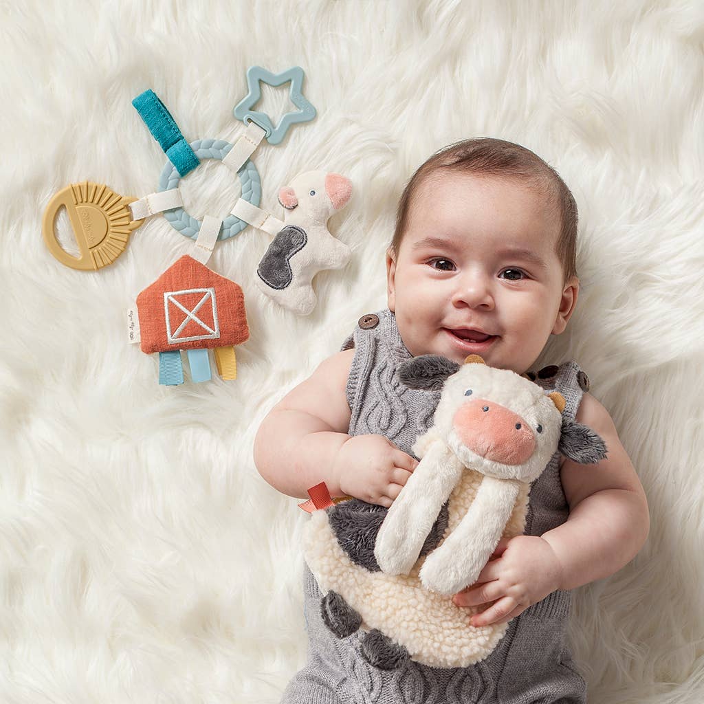 Itzy Ritzy - Bitzy Busy Ring™ Teething Activity Toy: Farm