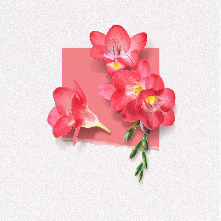 Solinotes Freesia Perfume 1.7 oz - CLEAN BEAUTY