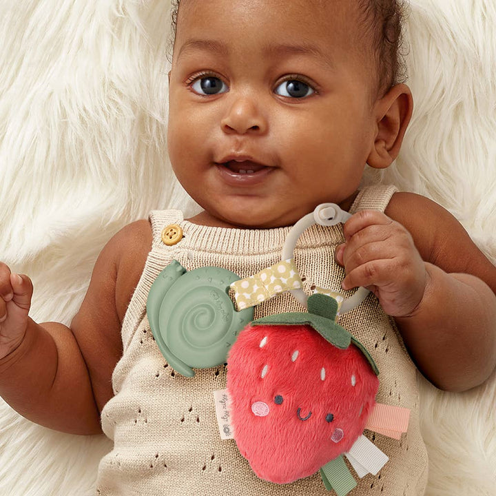 Itzy Ritzy - Itzy Pal™ Plush + Teether: Koala