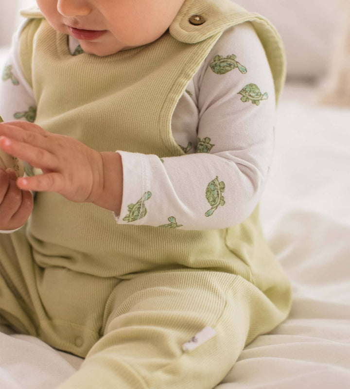 Burt's Bees Baby - Tortoise Jumpsuit & Bodysuit Set