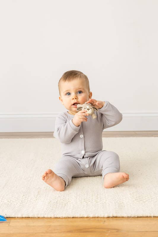 Itzy Ritzy - Puppy Ritzy Teether™ Baby Molar Teether