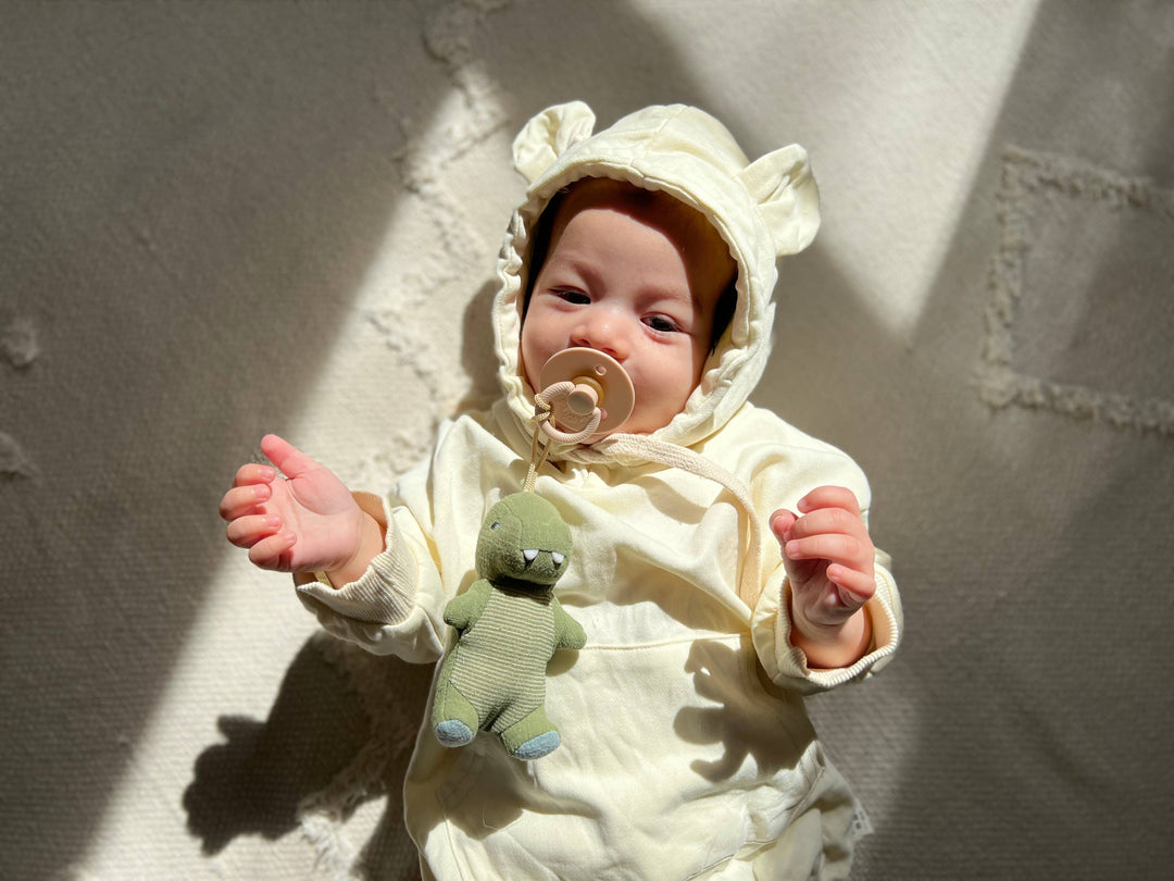 Itzy Ritzy - *NEW OPTIONS* Bitzy Pal Natural Rubber Pacifier & Plush: Bunny