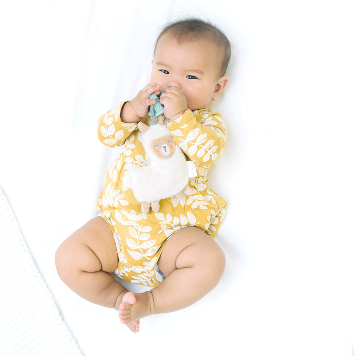 Itzy Ritzy - Sweetie Pal™ Plush & Pacifier: Llama