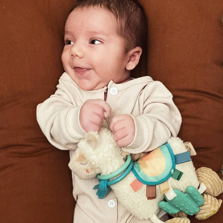 Itzy Ritzy - Itzy Friends Link & Love™ Activity Plush with Teether Toy: Llama